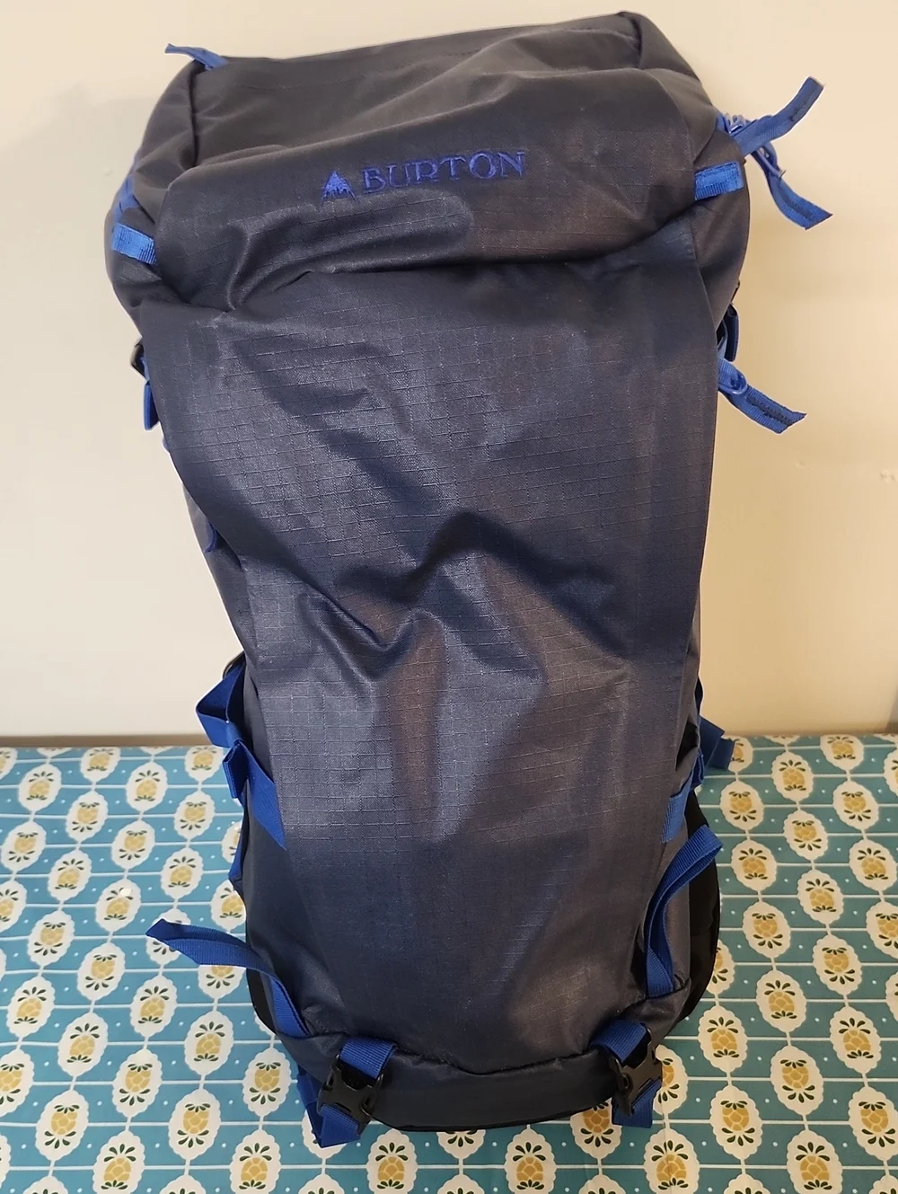 Burton Skyward 25L Backpack Tacital Campinig Hike NWT NEW